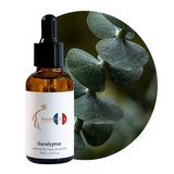 Eucalyptus Perfume Oil, 30ml amber glass dropper bottle by Scent DNA