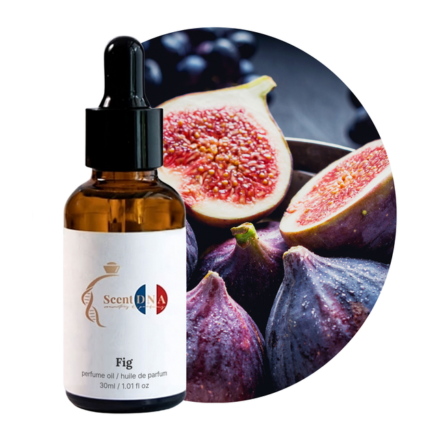 Fig Perfume Oil, 30ml amber glass dropper bottle by Scent DNA