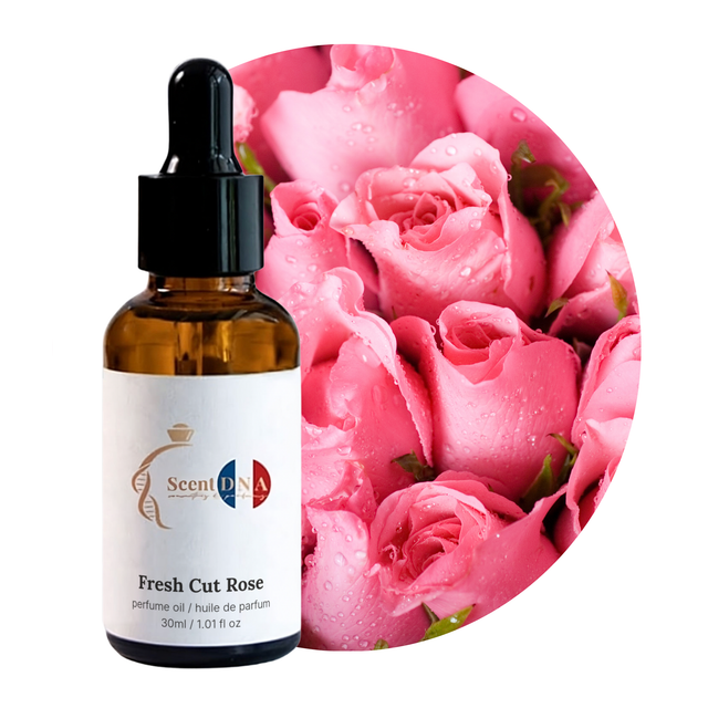 Fresh Cut Rose Perfume Oil, 30ml amber glass dropper bottle by Scent DNA
