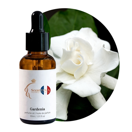 Gardenia Perfume Oil, 30ml amber glass dropper bottle by Scent DNA