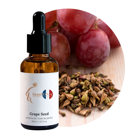 Grape Seed Perfume Oil, 30ml amber glass dropper bottle by Scent DNA