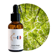 Green Magic Perfume Oil, 30ml amber glass dropper bottle by Scent DNA