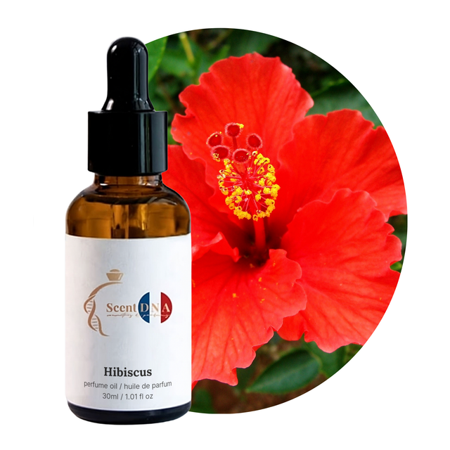Hibiscus Perfume Oil, 30ml amber glass dropper bottle by Scent DNA