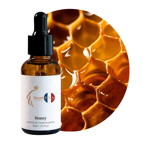 Honey Perfume Oil, 30ml amber glass dropper bottle by Scent DNA