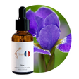 Iris Perfume Oil, 30ml amber glass dropper bottle by Scent DNA