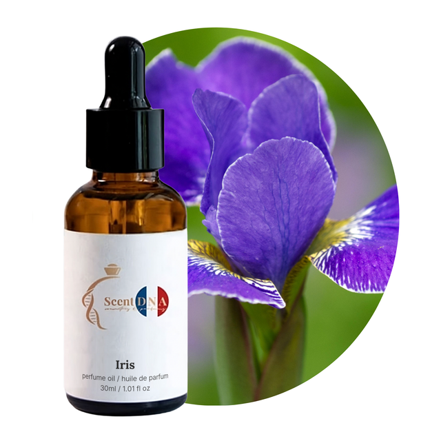 Iris Perfume Oil, 30ml amber glass dropper bottle by Scent DNA