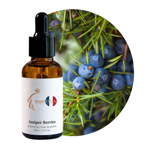 Juniper Berries Perfume Oil, 30ml amber glass dropper bottle by Scent DNA
