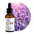 Lavender Perfume Oil, 30ml amber glass dropper bottle by Scent DNA