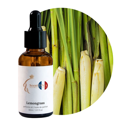 Lemongrass Perfume Oil, 30ml amber glass dropper bottle by Scent DNA