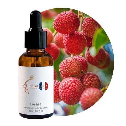 Lychee Perfume Oil, 30ml amber glass dropper bottle by Scent DNA