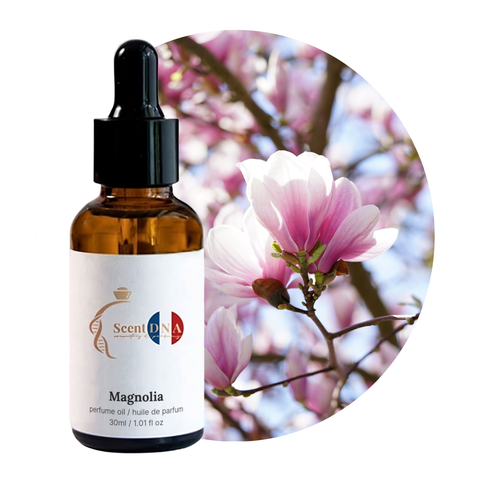 Magnolia Perfume Oil, 30ml amber glass dropper bottle by Scent DNA