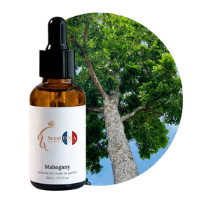 Mahogany Perfume Oil, 30ml amber glass dropper bottle by Scent DNA