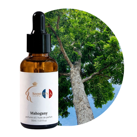 Mahogany Perfume Oil, 30ml amber glass dropper bottle by Scent DNA