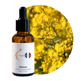 Mimosa Perfume Oil, 30ml amber glass dropper bottle by Scent DNA