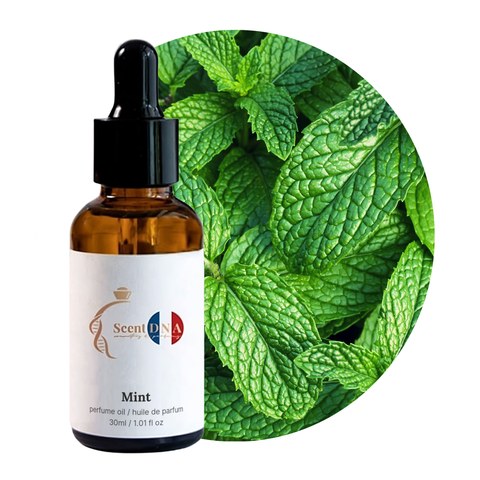 Mint Perfume Oil, 30ml amber glass dropper bottle by Scent DNA