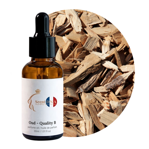 Oud - Quality B Perfume Oil, 30ml amber glass dropper bottle by Scent DNA