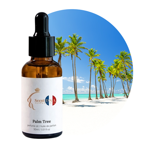 Palm Tree Perfume Oil, 30ml amber glass dropper bottle by Scent DNA