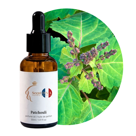 Patchouli Perfume Oil, 30ml amber glass dropper bottle by Scent DNA