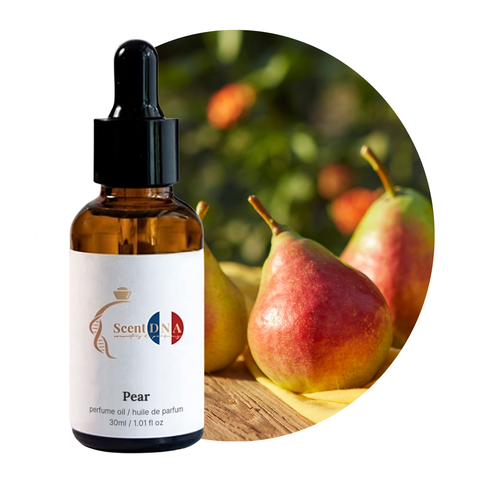 Pear Perfume Oil, 30ml amber glass dropper bottle by Scent DNA