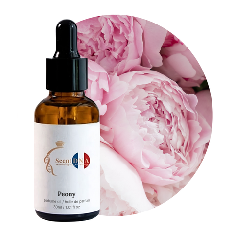 Peony Perfume Oil, 30ml amber glass dropper bottle by Scent DNA