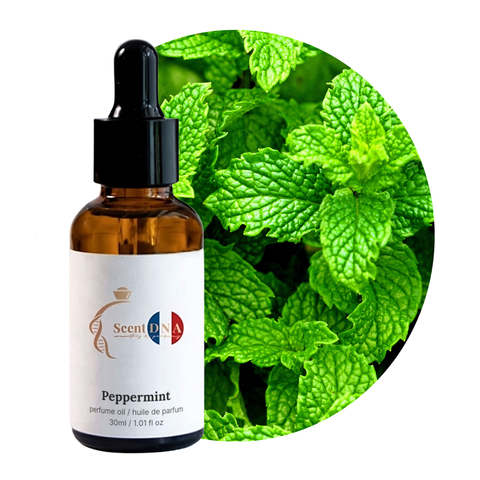 Peppermint Perfume Oil, 30ml amber glass dropper bottle by Scent DNA