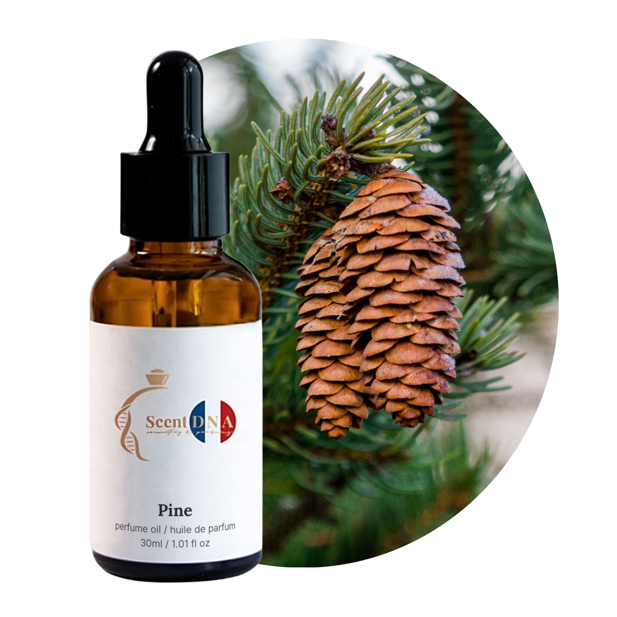 Pine Perfume Oil, 30ml amber glass dropper bottle by Scent DNA