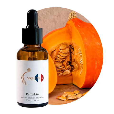 Pumpkin Perfume Oil, 30ml amber glass dropper bottle by Scent DNA