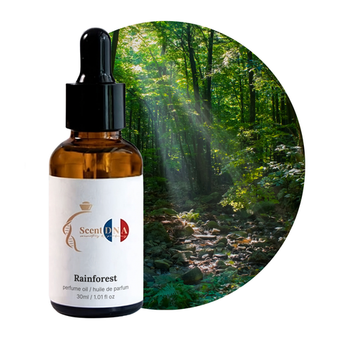 Rainforest Perfume Oil, 30ml amber glass dropper bottle by Scent DNA