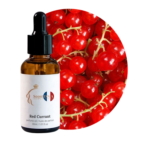 Red Currant Perfume Oil, 30ml amber glass dropper bottle by Scent DNA
