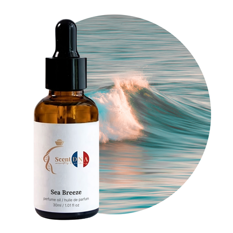 Sea Breeze Perfume Oil, 30ml amber glass dropper bottle by Scent DNA