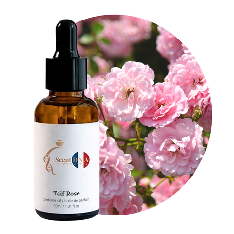 Taif Rose Perfume Oil, 30ml amber glass dropper bottle by Scent DNA