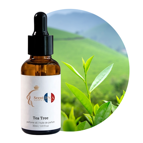 Tea Tree Perfume Oil, 30ml amber glass dropper bottle by Scent DNA