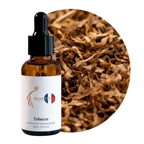 Tobacco Perfume Oil, 30ml amber glass dropper bottle by Scent DNA