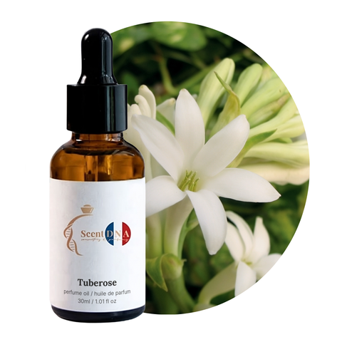 Tuberose Perfume Oil, 30ml amber glass dropper bottle by Scent DNA