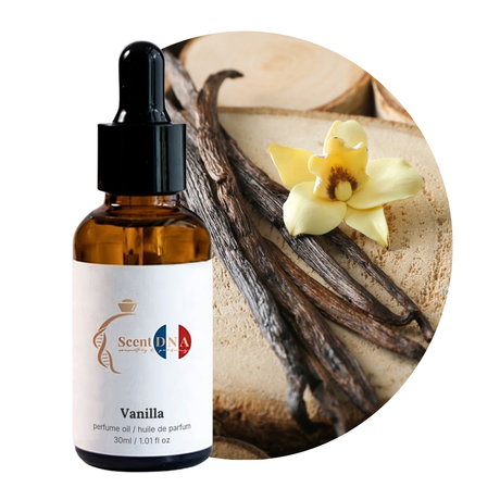 Vanilla Perfume Oil, 30ml amber glass dropper bottle by Scent DNA