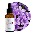 Violet Perfume Oil, 30ml amber glass dropper bottle by Scent DNA