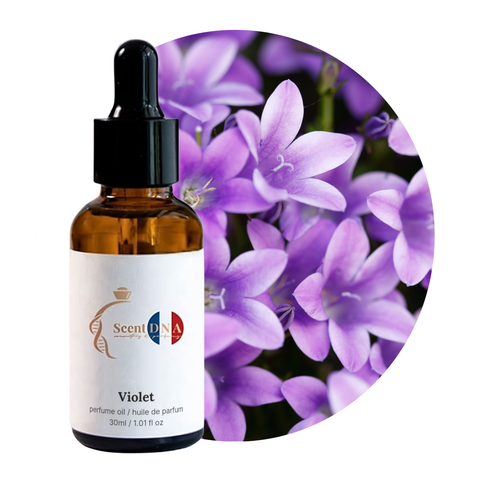 Violet Perfume Oil, 30ml amber glass dropper bottle by Scent DNA