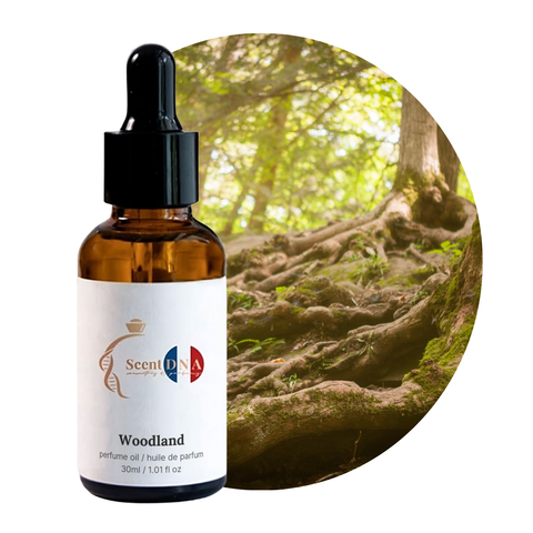 Woodland Perfume Oil, 30ml amber glass dropper bottle by Scent DNA