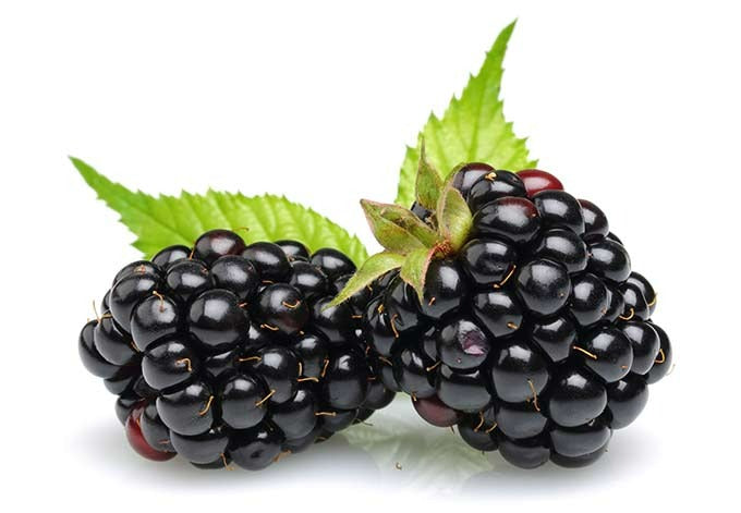 Blackberries Perfume Oil