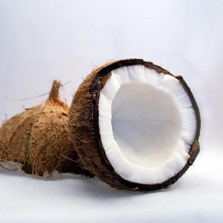 Coconut