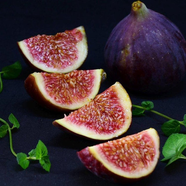 Fig