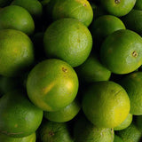 Lime Perfume Oil